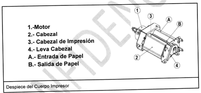 Cuerpo impresor documentado: motor, cabezal, leva y recorrido de papel